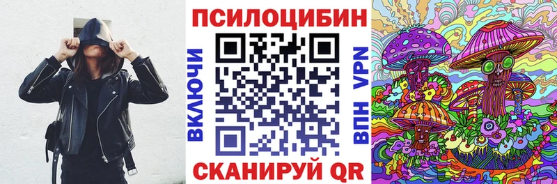 Псилоцибиновые грибы MAGIC MUSHROOMS  купить наркоту  Бикин 